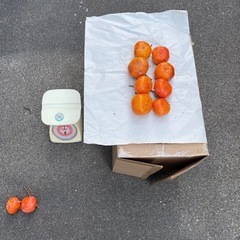 甘柿　種無し　無農薬　
約1キロで300円の画像