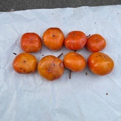 甘柿　種無し　無農薬　
約1キロで300円の画像