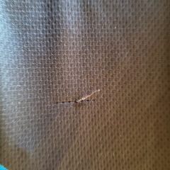 【訳あり】プーマ　半袖スポーツウェアの画像