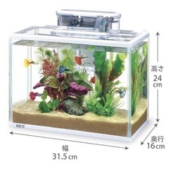 水槽　予備フィルター付の画像