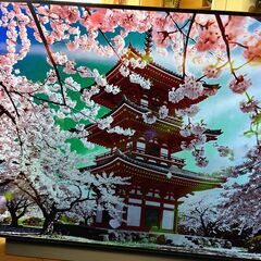 LG OLED 65C9  4K有機ELの画像