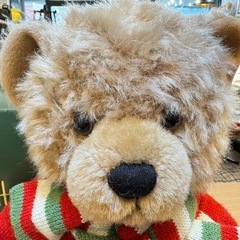 B7135【ハロッズ】2010年 クリスマスベア アーチーの画像
