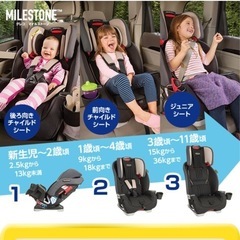グレコ　チャイルドシートの画像