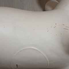 ブルーナボンボン ミッフィーの画像