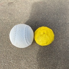 新鮮　ゆずの画像