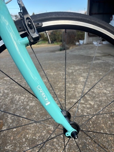 ビアンキ カメレオンテ クロスバイク サイズ43 前後チューブリアタイヤ新品