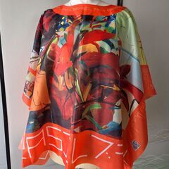 パランゴレ(小判)　2025大阪関西万博ブラジル館来場者限定配布品の画像