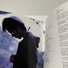 工藤慎太郎 愛でいこうぜ! サイン入れ　レア　コレクションの画像