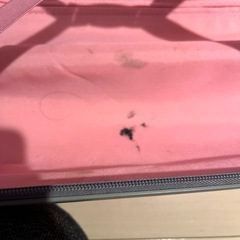 ピンクのキャリーケースの画像