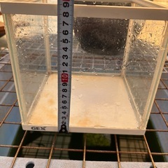 GEX 金魚元気 キューブセット （水槽のみ）の画像