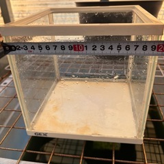 GEX 金魚元気 キューブセット （水槽のみ）の画像