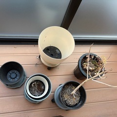 植木鉢　差し上げます。　　※写真のまま引き取りいただける方を探しています。　無料でお譲りします。の画像