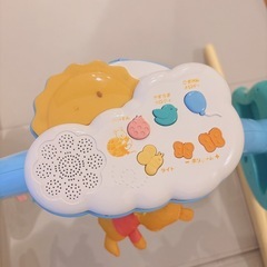 プーメリーの画像