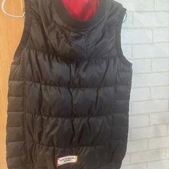 新品　タグ付き　CASTELBAJACダルファイン　ダウンベストの画像