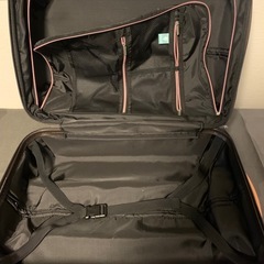 【終了】鍵なしキャリーケースの画像