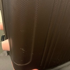 【終了】鍵なしキャリーケースの画像