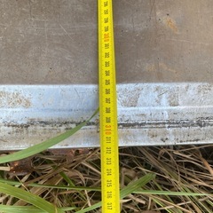 コンテナの画像