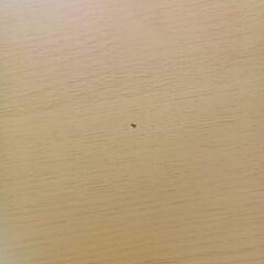 ★リユースのサカイつくば店★TK7569  4人用ダイニングテーブルセット　椅子４脚付 ナチュラル H70.5×D78×W135 クリーニング済みの画像