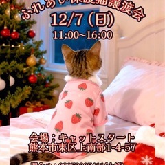 Cat 🐾Start（キャットスタート）💕🐱保護猫ふれあい…