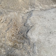 【至急！12月まで】残土（庭土）の画像