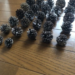 松ぼっくり27個の画像