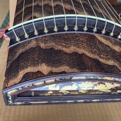 琴　一三絃の画像