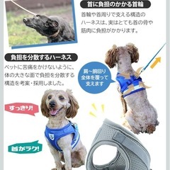猫 犬　うさぎ　動物用ハーネス リード付　ペット　グレー　M 120cmの画像