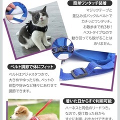 猫 犬　うさぎ　動物用ハーネス リード付　ペット　グレー　M 120cmの画像