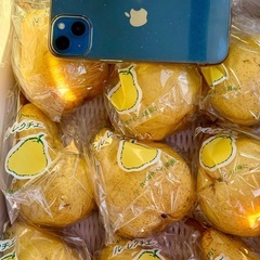 新潟県央産 ル・レクチェ 4kgＢ品①
の画像