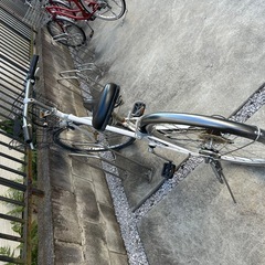 自転車
の画像