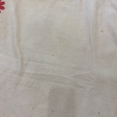 ホットマット　ホットカーペット　（全身用)電気カーペット　袋型　ポケット型の画像