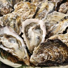 食べて応援！出張牡蠣小屋「能登丸」