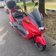 マジスティの画像