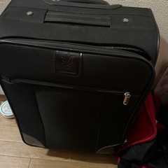 キャリーの画像