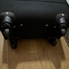 キャリーの画像