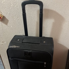 キャリーの画像