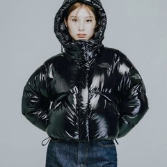 THE NORTH FACE W'S GLOSSY RDS DOWN 新品未使用品　確実正規品の画像