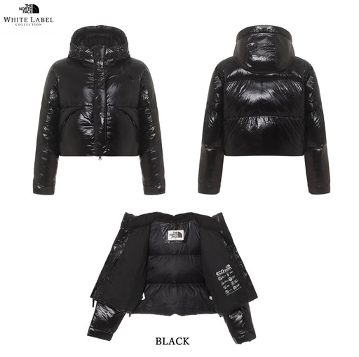 THE NORTH FACE W'S GLOSSY RDS DOWN 新品未使用品　確実正規品