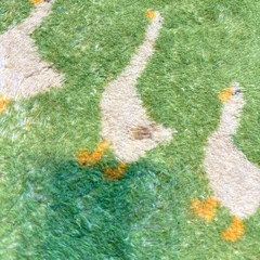 ０円無料 アヒルマット汚れありの画像