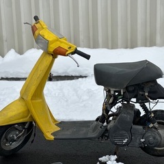 YAMAHA キュートの画像