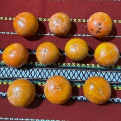 訳あり柿10個（第7弾）の画像