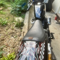 ハーレースポーツスター1200Rの画像