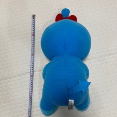 コキンちゃんの画像