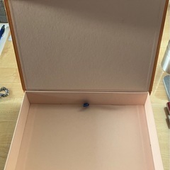 LOUIS VUITTON  小物入れの画像