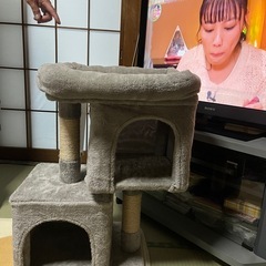 キャットタワー
の画像