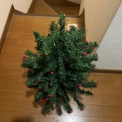 ツリー🎄クリスマスの画像