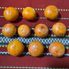 訳あり柿10個（第8弾）の画像