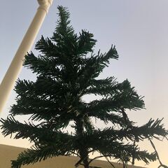 【未使用】ガーデンツリー 1本の画像