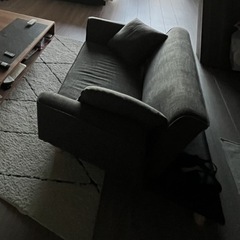 LOWYA ロウヤ ソファ ソファベッド リビングソファ 二人掛け ソファセット sofa ダークグレーの画像