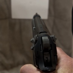 サバゲー害鳥追い払いの画像